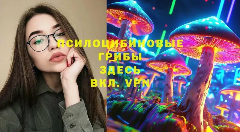 где купить наркоту  Киреевск  Псилоцибиновые грибы Magic Shrooms 